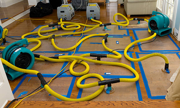 Professional Storm Water Damage Restoration technician working in Ottoville, OH